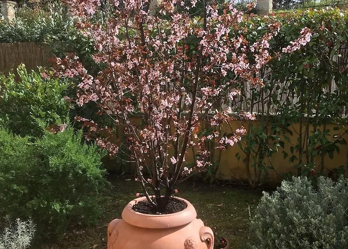La Casita De La Luz 펜션 산타루체